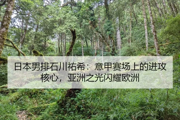 ri-ben-nan-pai-shi-chuan-you-xi-yi-jia-sai-chang-shang-de-jin-gong-he-xin-ya-zhou-zhi-guang-shan-yao-ou-zhou-2-961.jpg