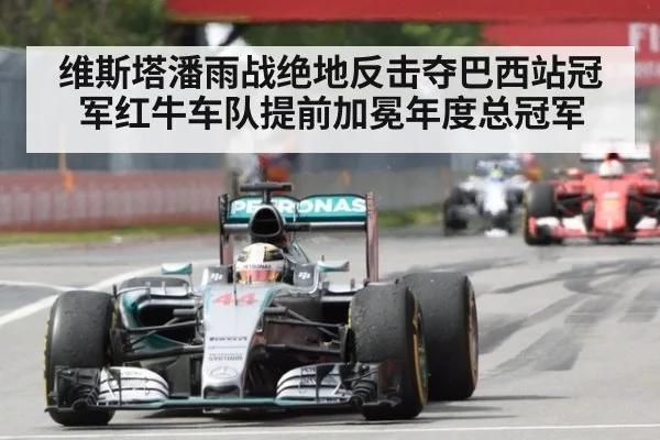 维斯塔潘雨战绝地反击夺巴西站冠军红牛车队提前加冕年度总冠军