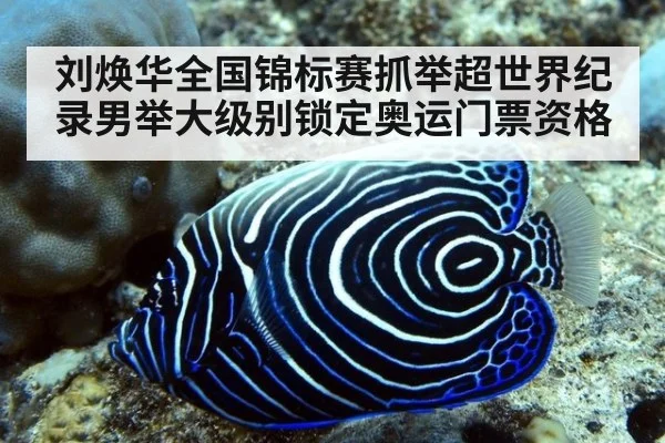刘焕华全国锦标赛抓举超世界纪录男举大级别锁定奥运门票资格